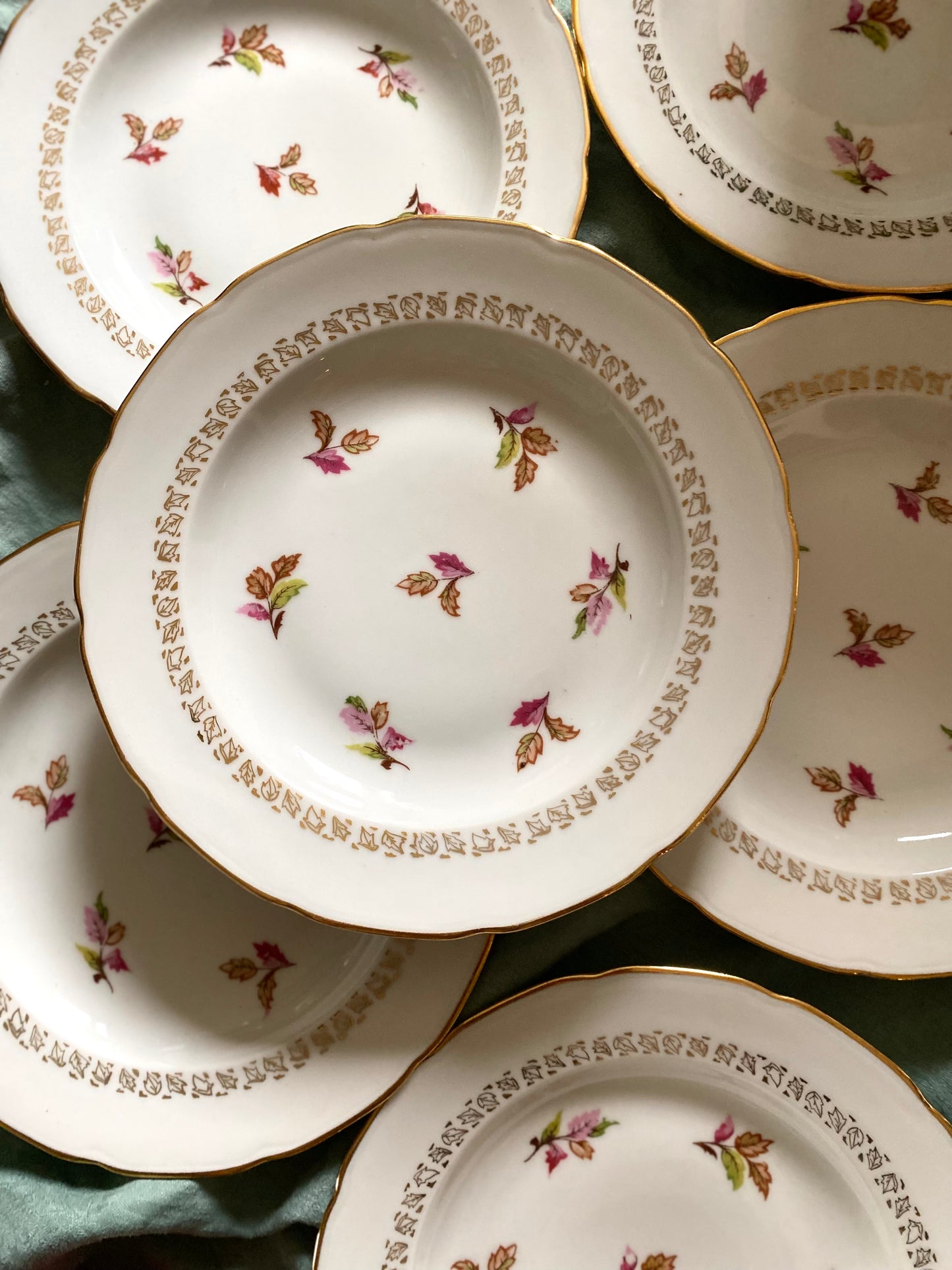 6 assiettes semi-creuses en porcelaine