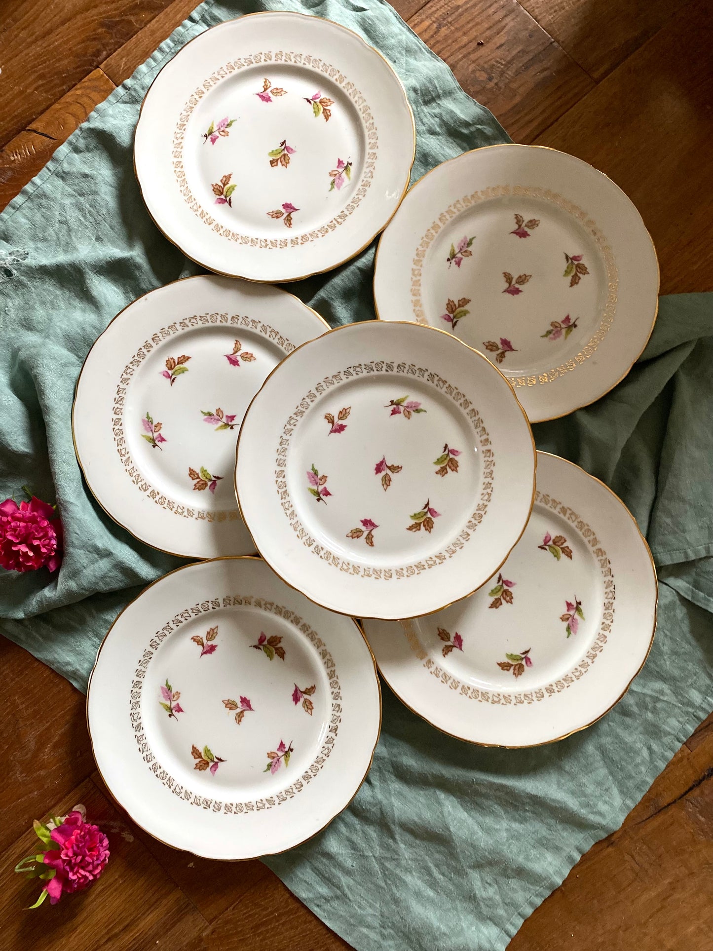 6 assiettes plates en porcelaine