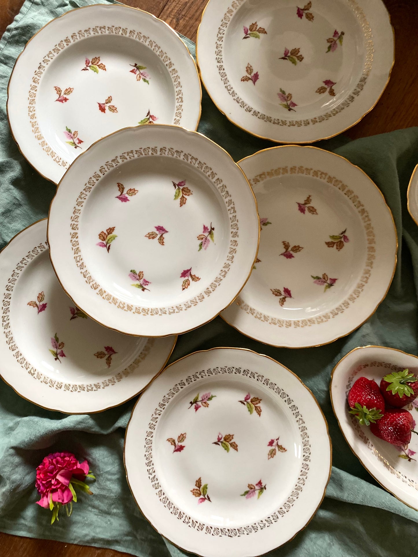 6 assiettes semi-creuses en porcelaine