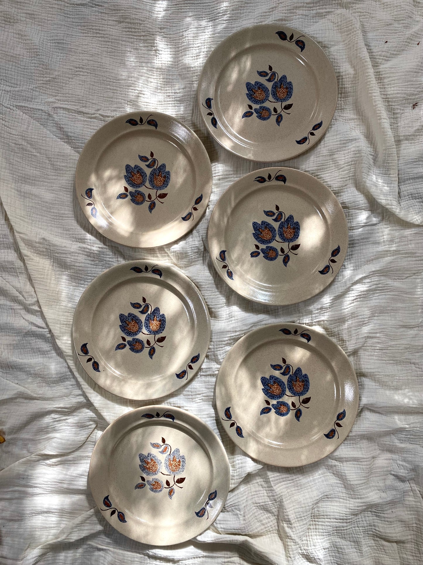 Assiettes plates en faïence ancienne