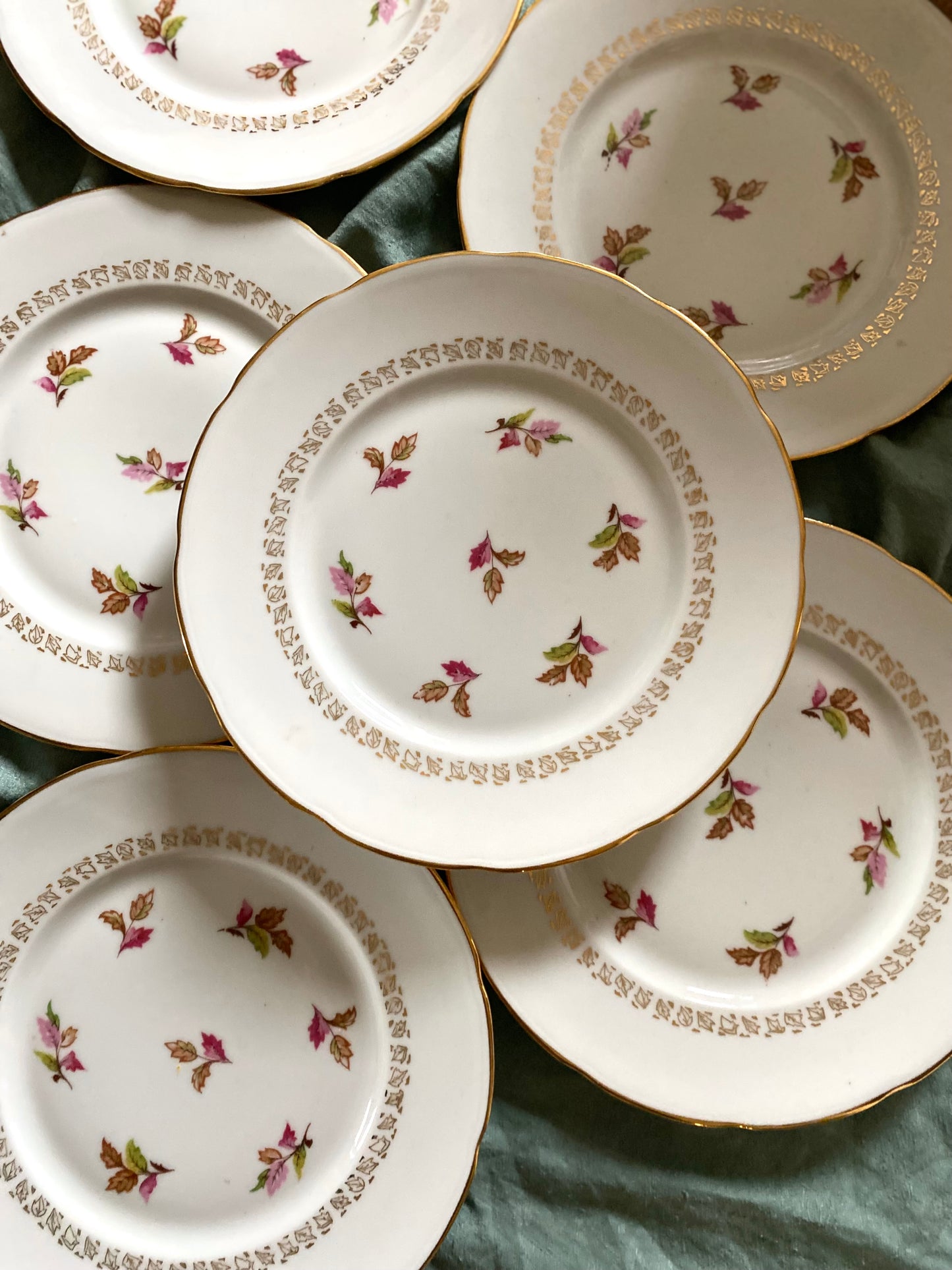 6 assiettes plates en porcelaine