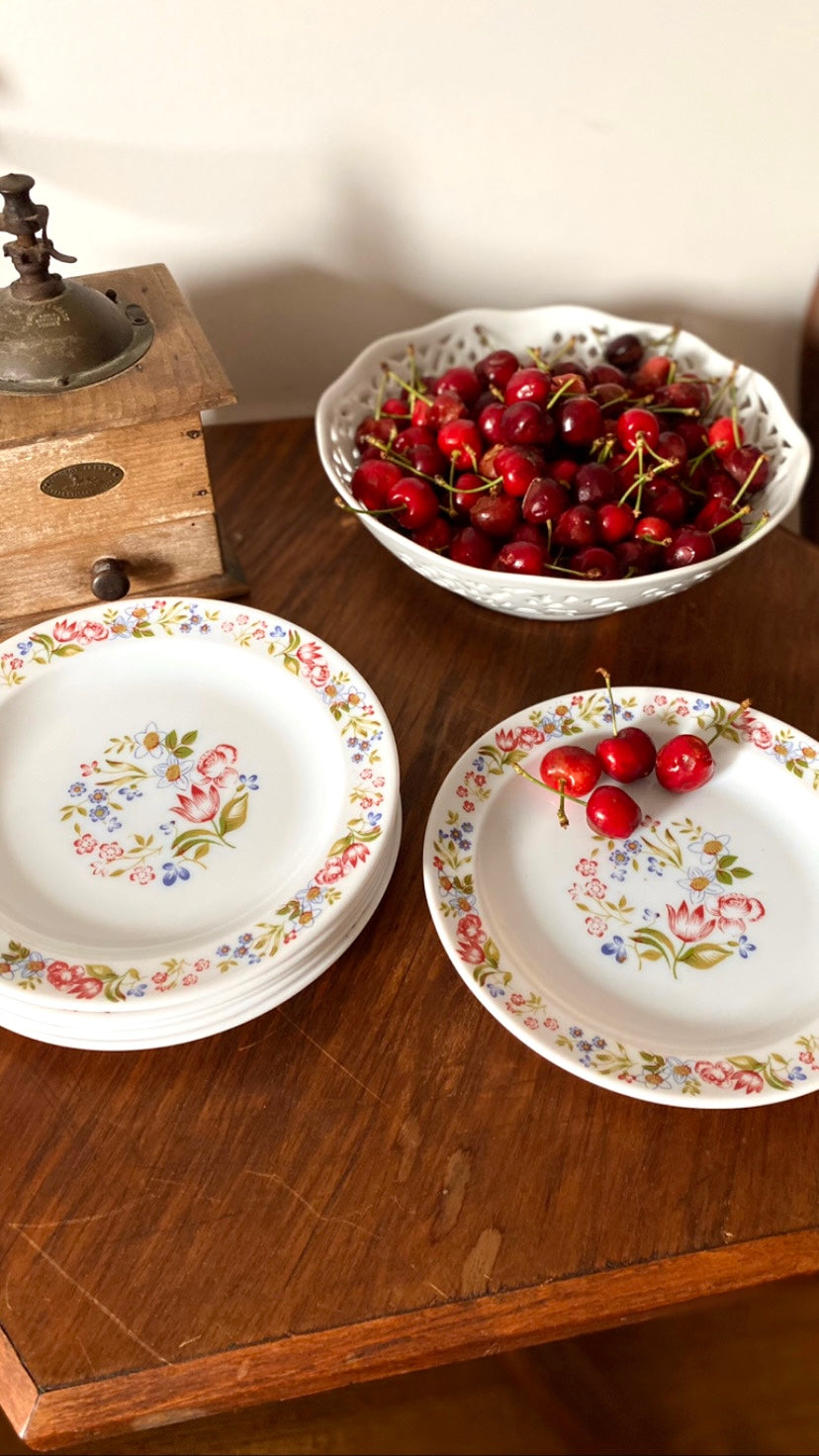 6 assiettes à dessert en opaline