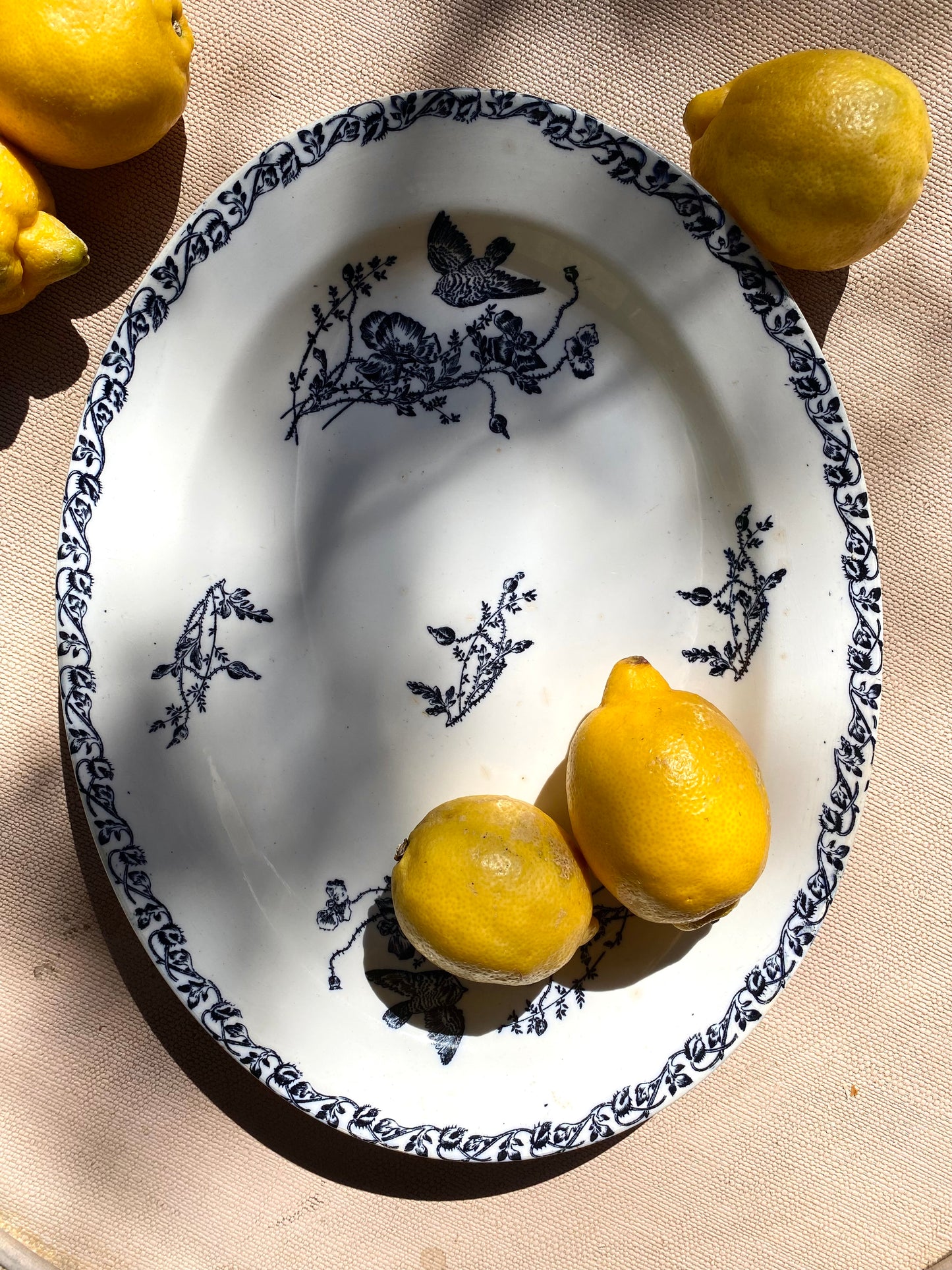 Plat ovale ancien Terre de fer — décor aux oiseaux, bleu et blanc