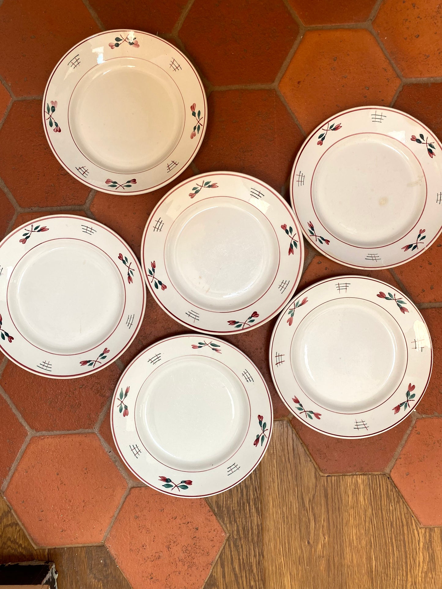 6 Assiettes rose et verte en faïence de St Amand