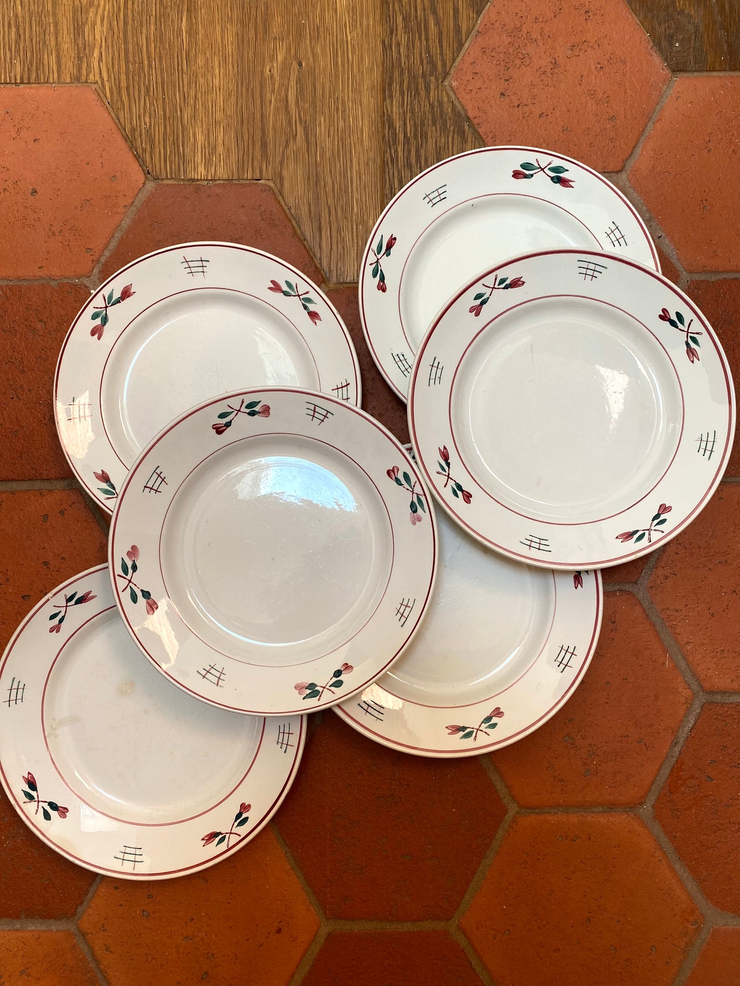 6 Assiettes rose et verte en faïence de St Amand