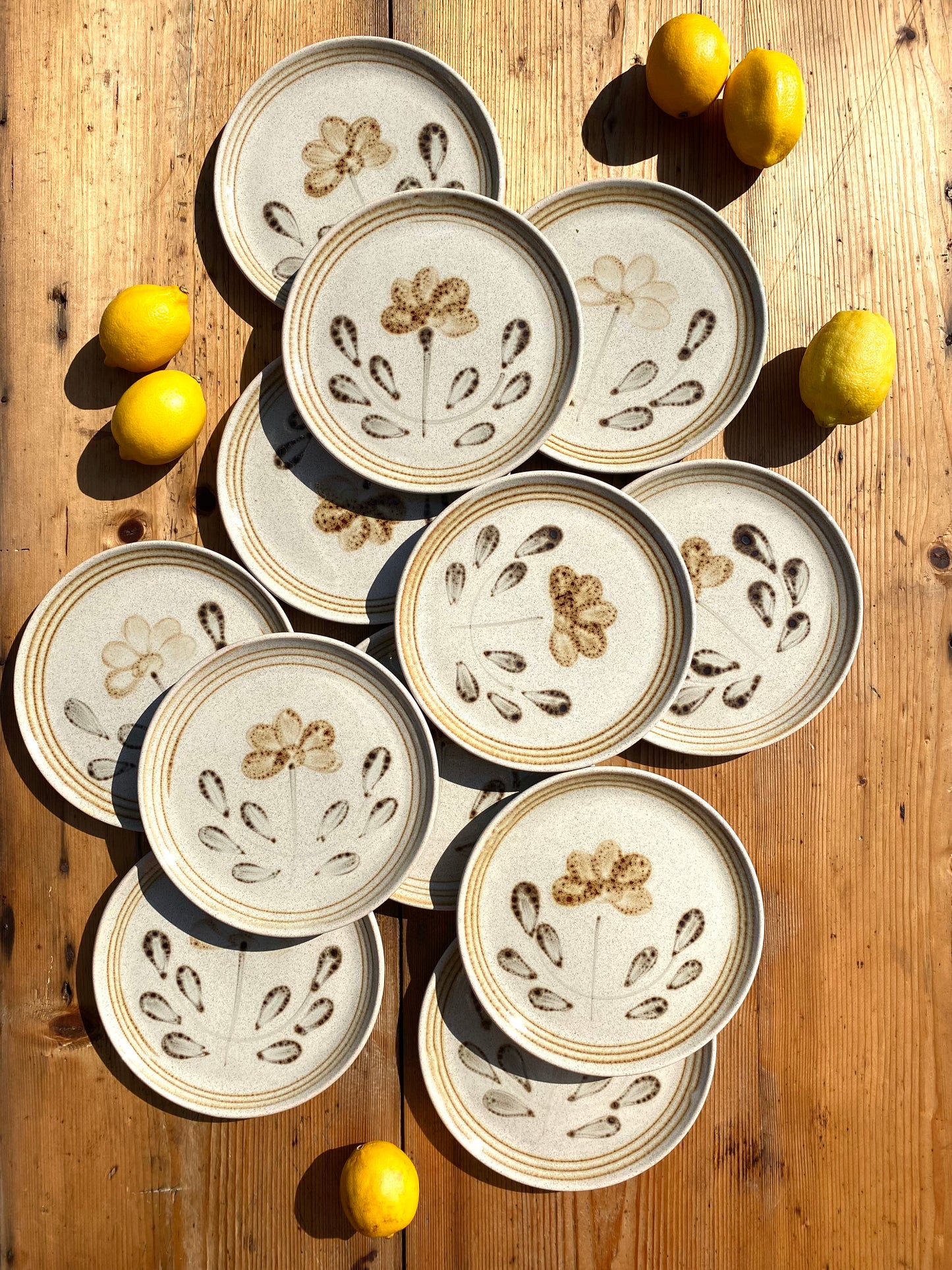 12 assiettes en grès Sarreguemines