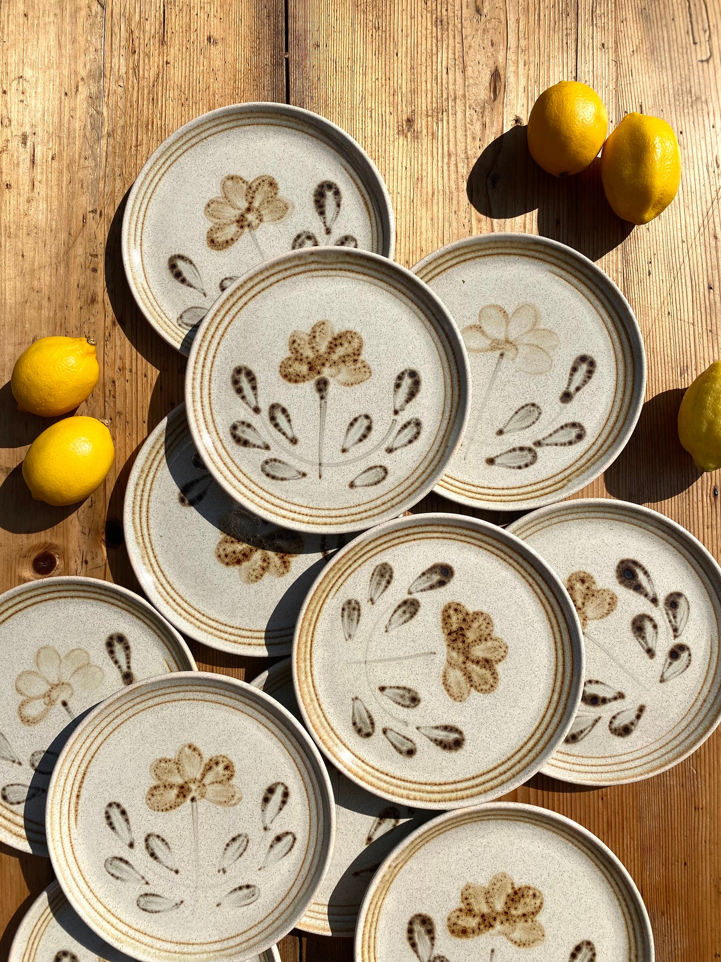 12 assiettes en grès Sarreguemines
