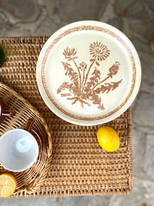 5 grandes assiettes en grès