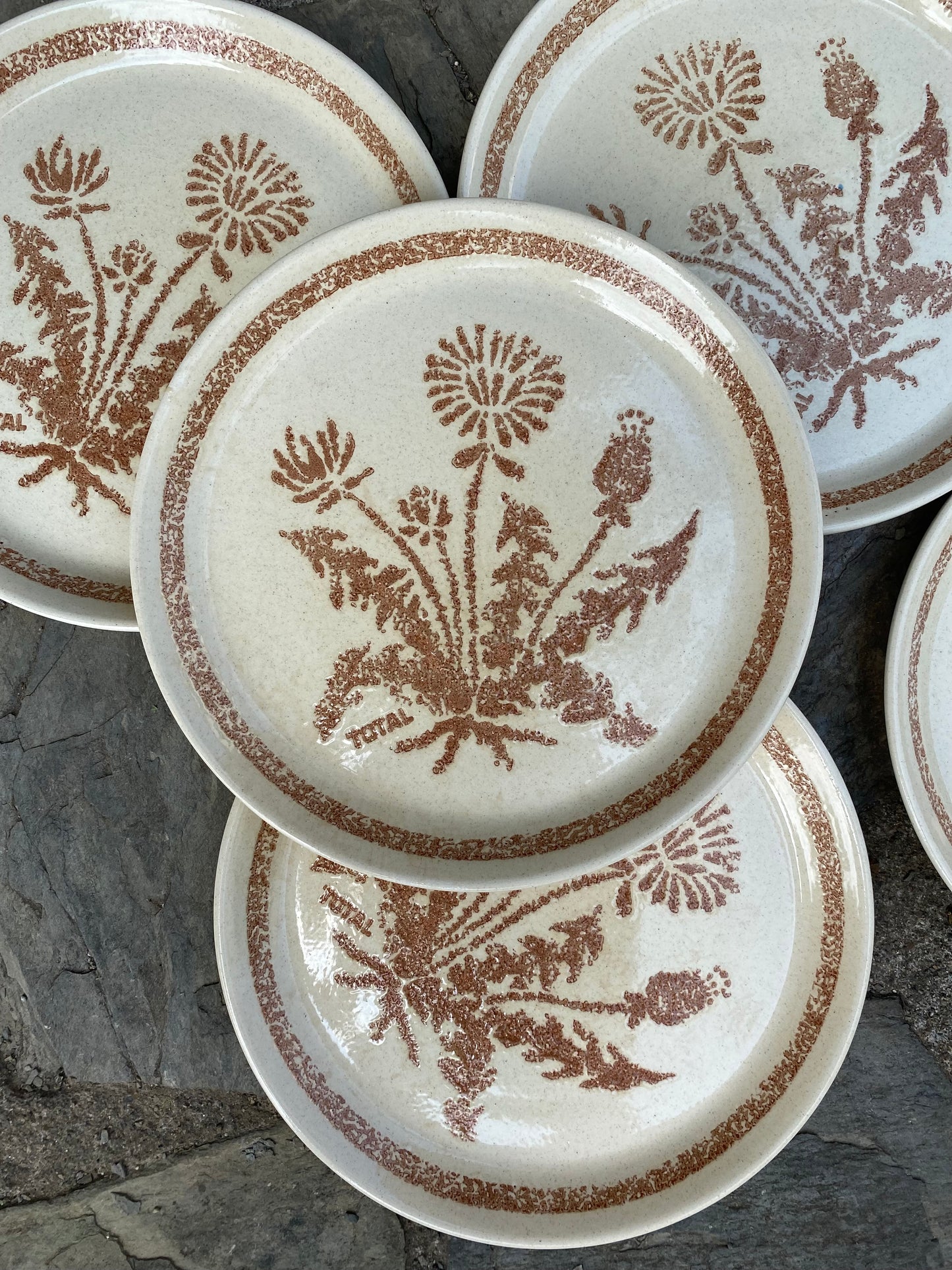 5 grandes assiettes en grès