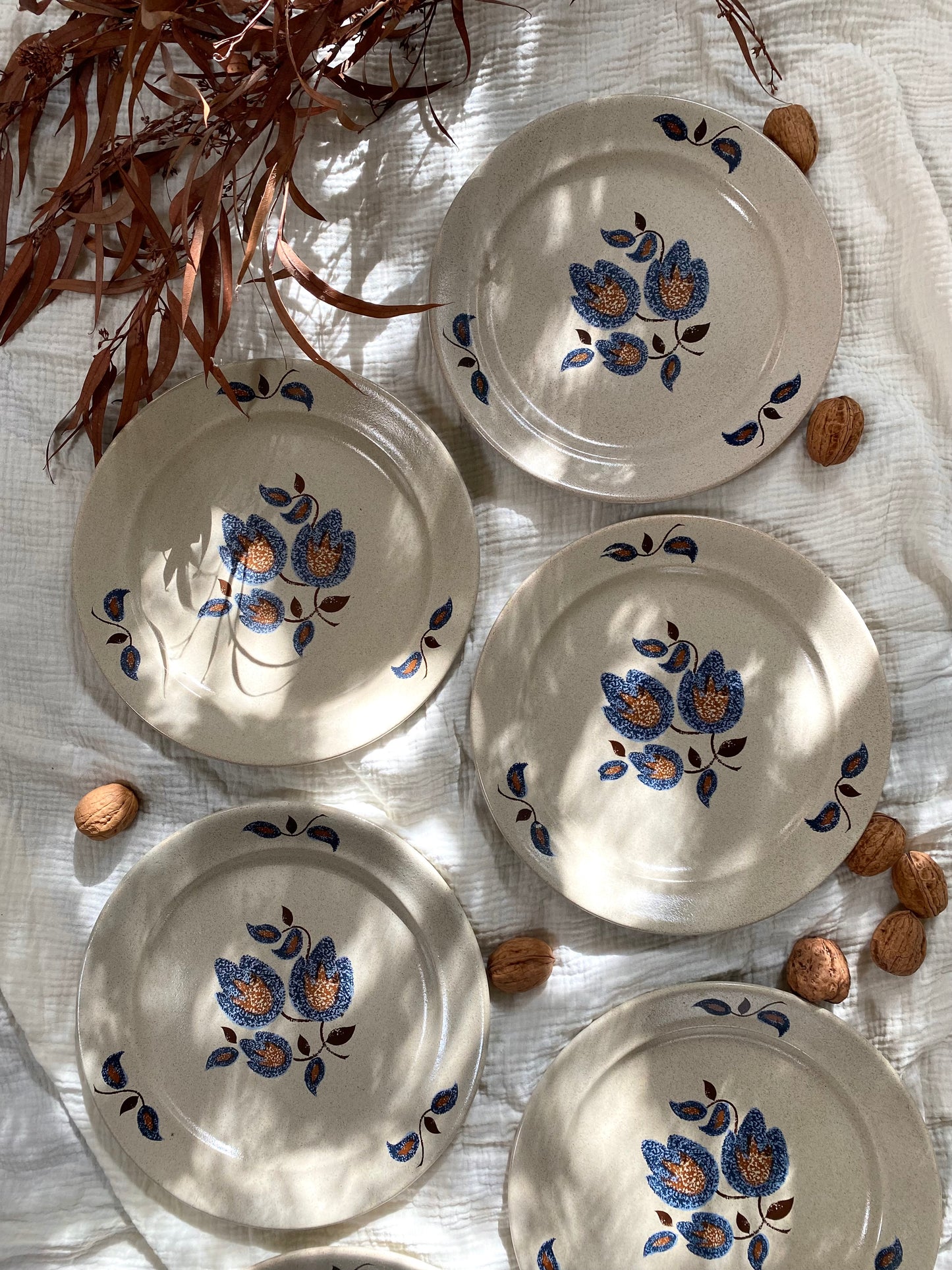 Assiettes plates en faïence ancienne