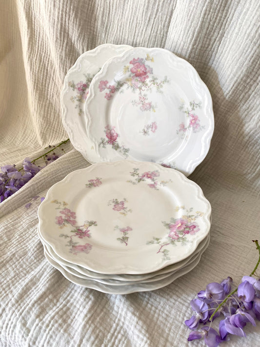 Assiettes à Dessert - Porcelaine de Limoges JMC - Début XXe