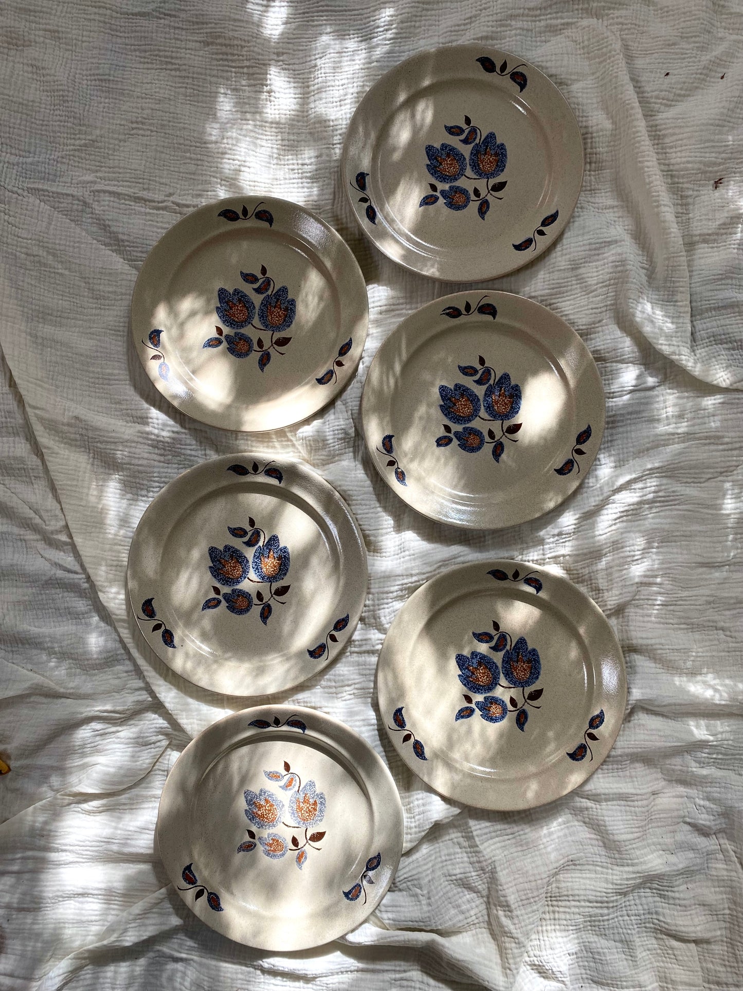 Assiettes plates en faïence ancienne