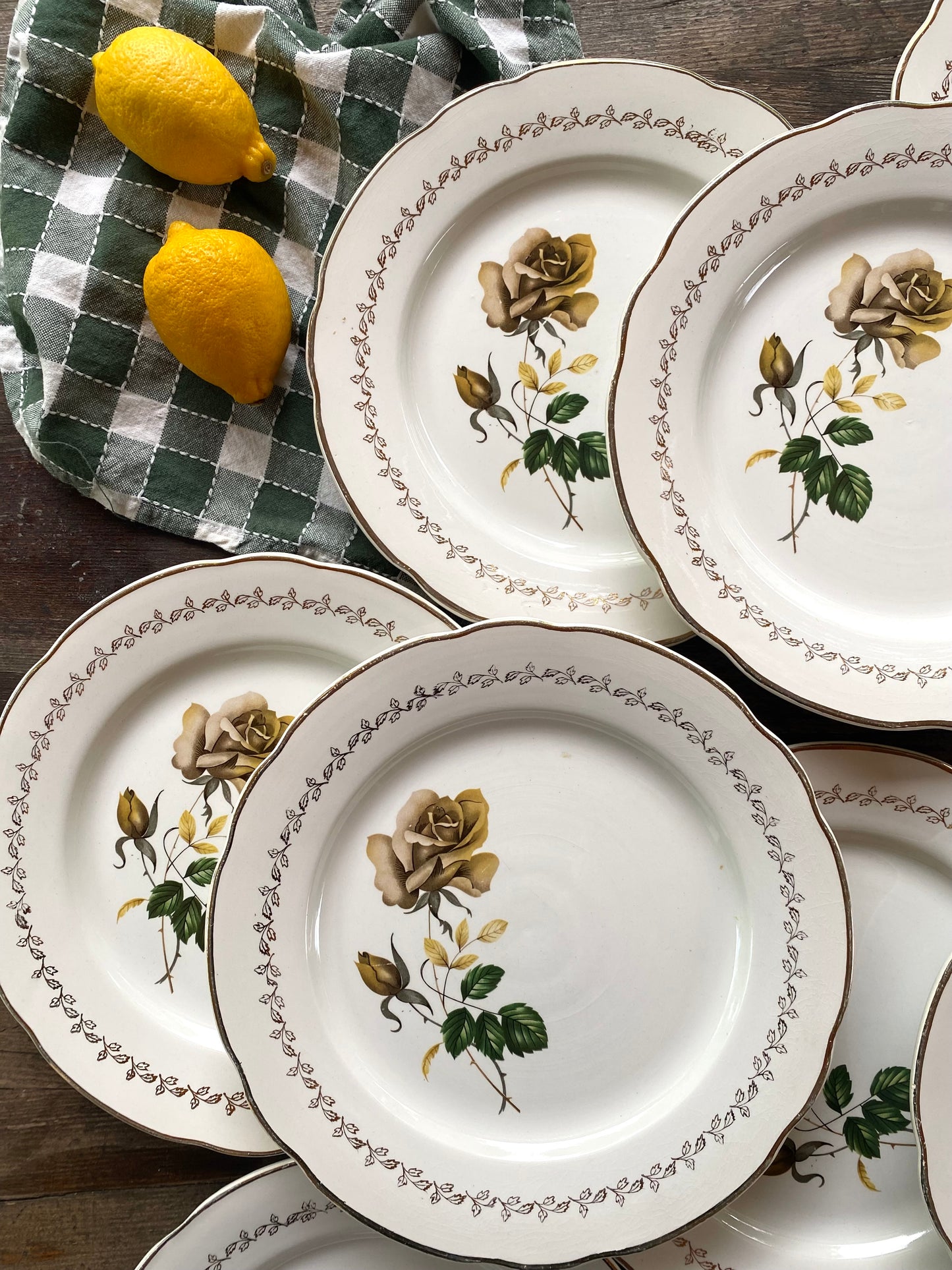 Assiettes plates en faïence ancienne