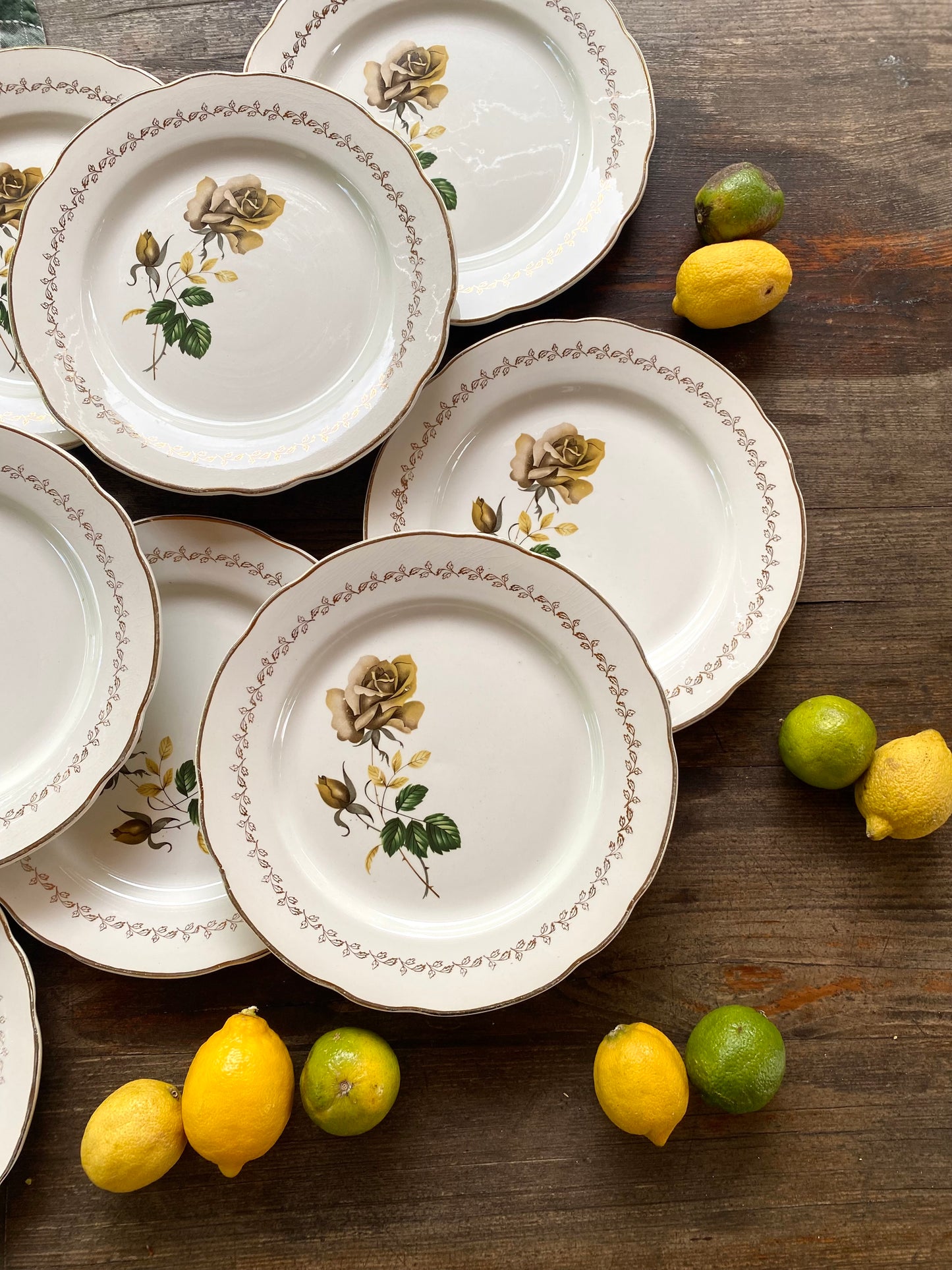 Assiettes plates en faïence ancienne