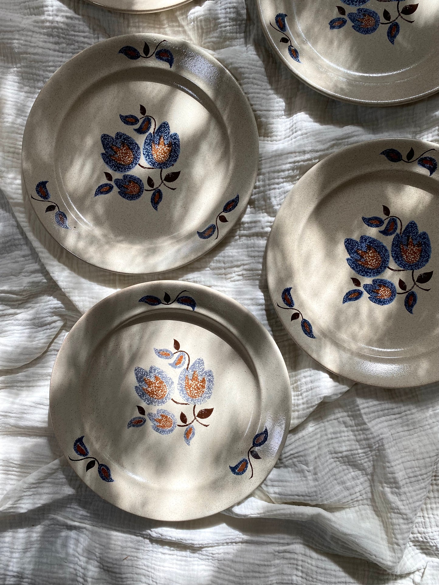 Assiettes plates en faïence ancienne