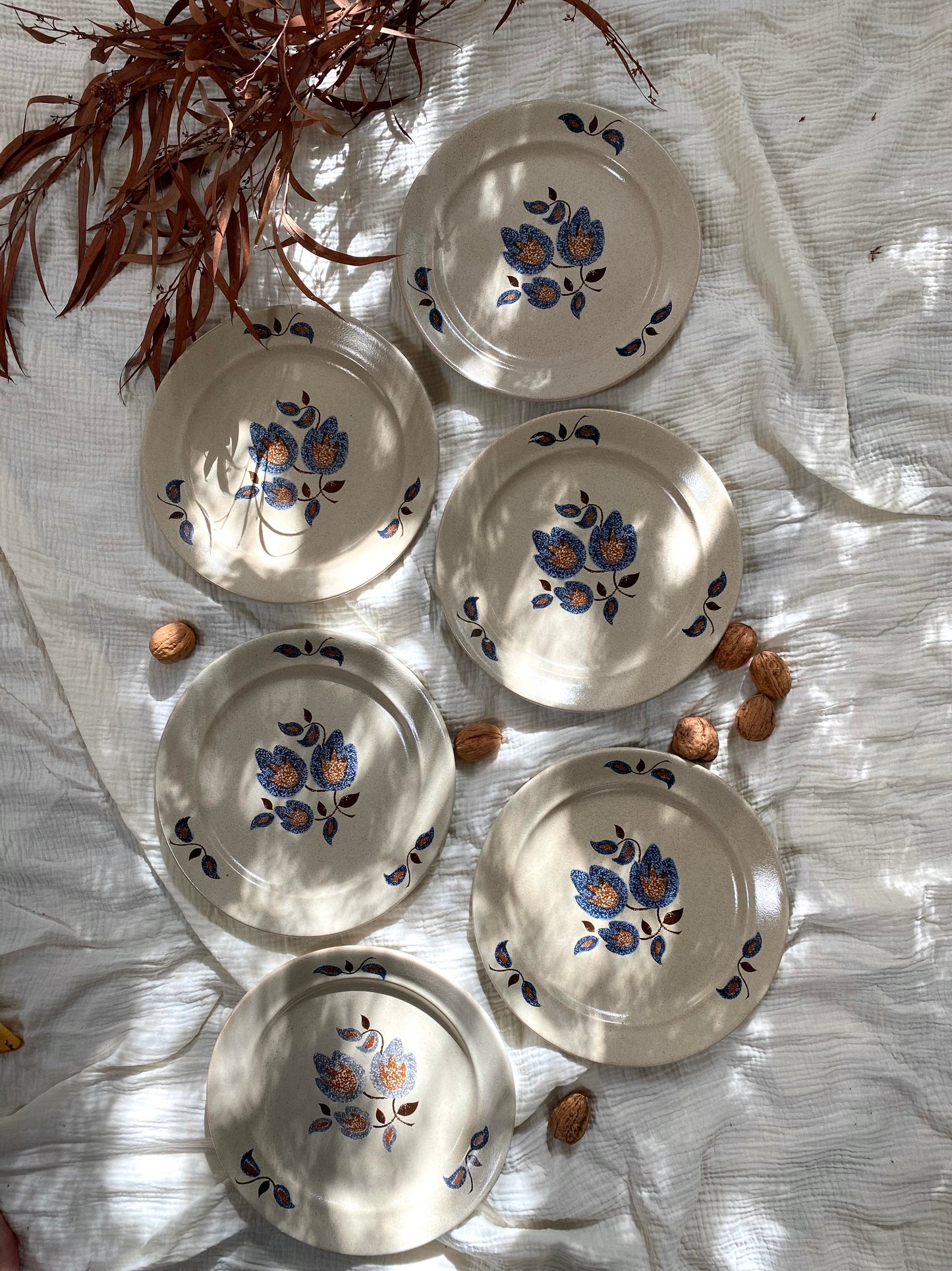 Assiettes plates en faïence ancienne