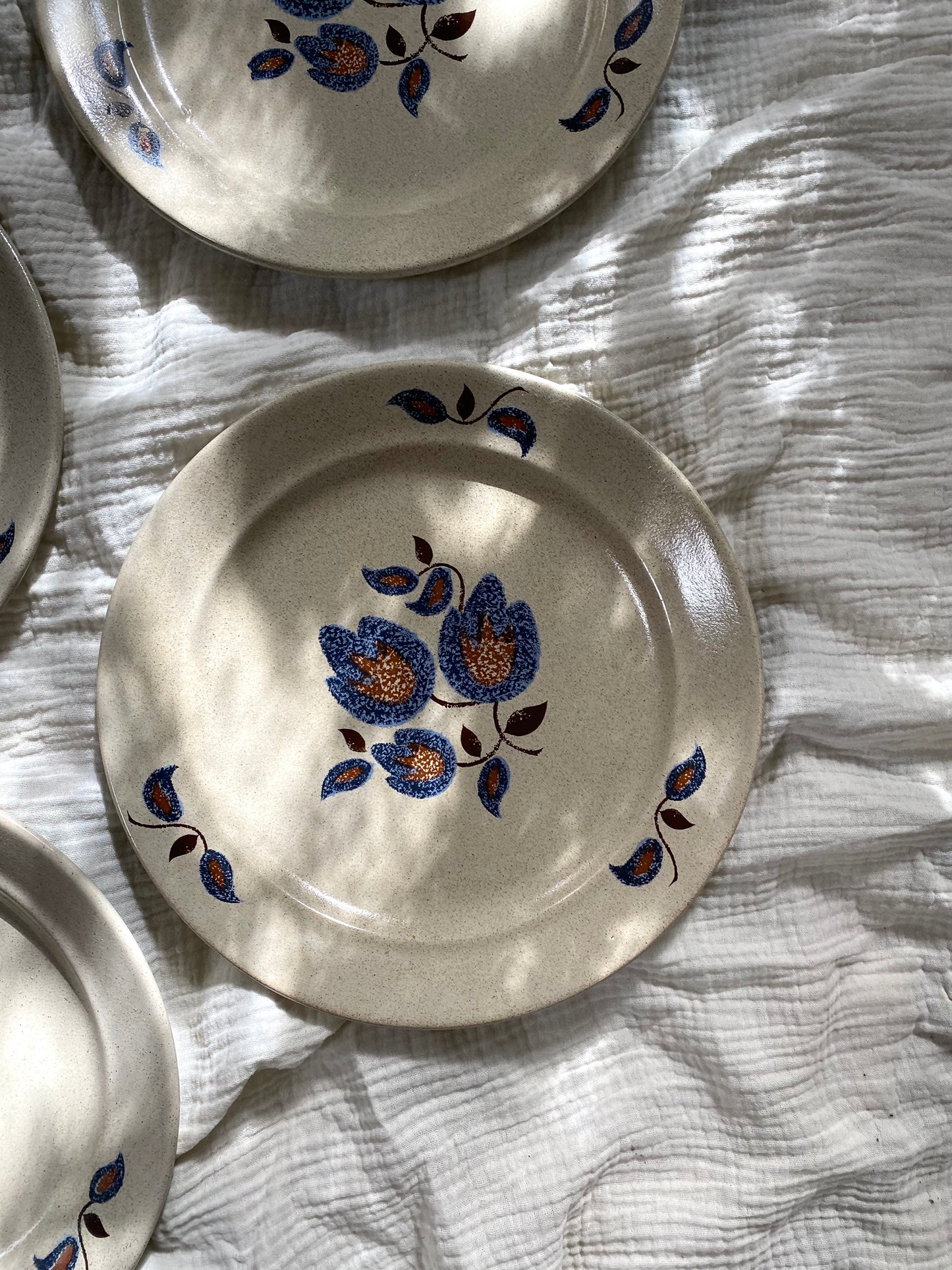 Assiettes plates en faïence ancienne