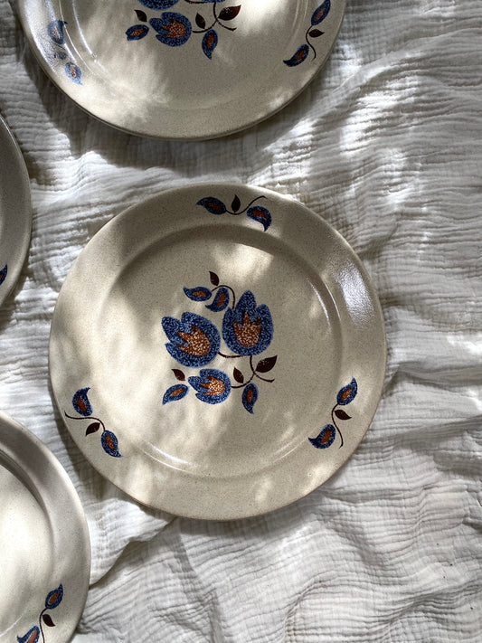 Assiettes plates en faïence ancienne