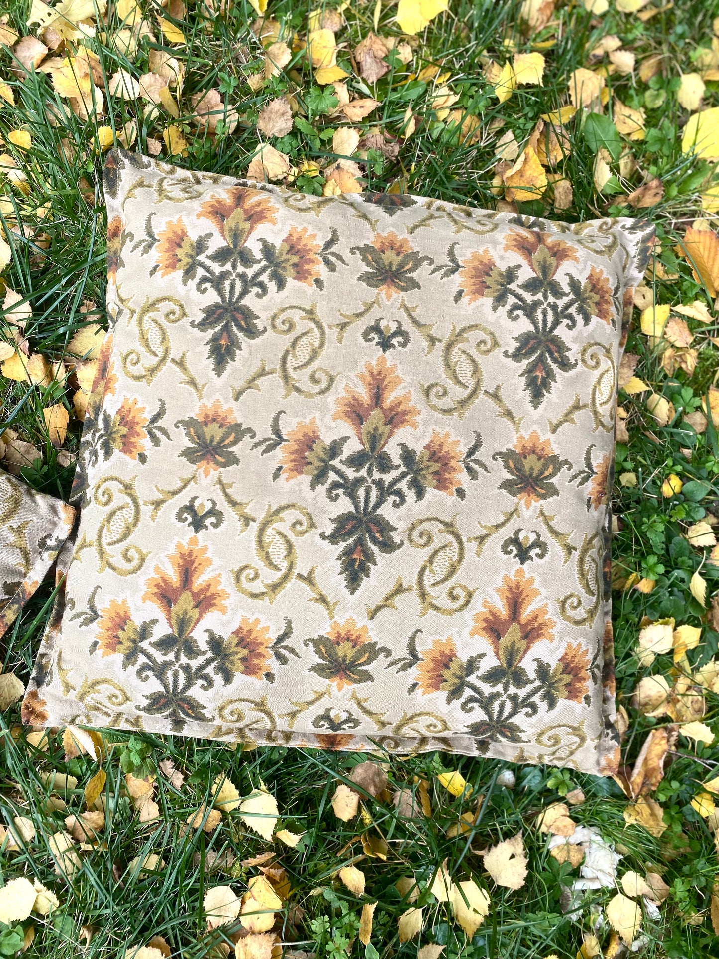 Ravissant duo de coussins en jacquard 70