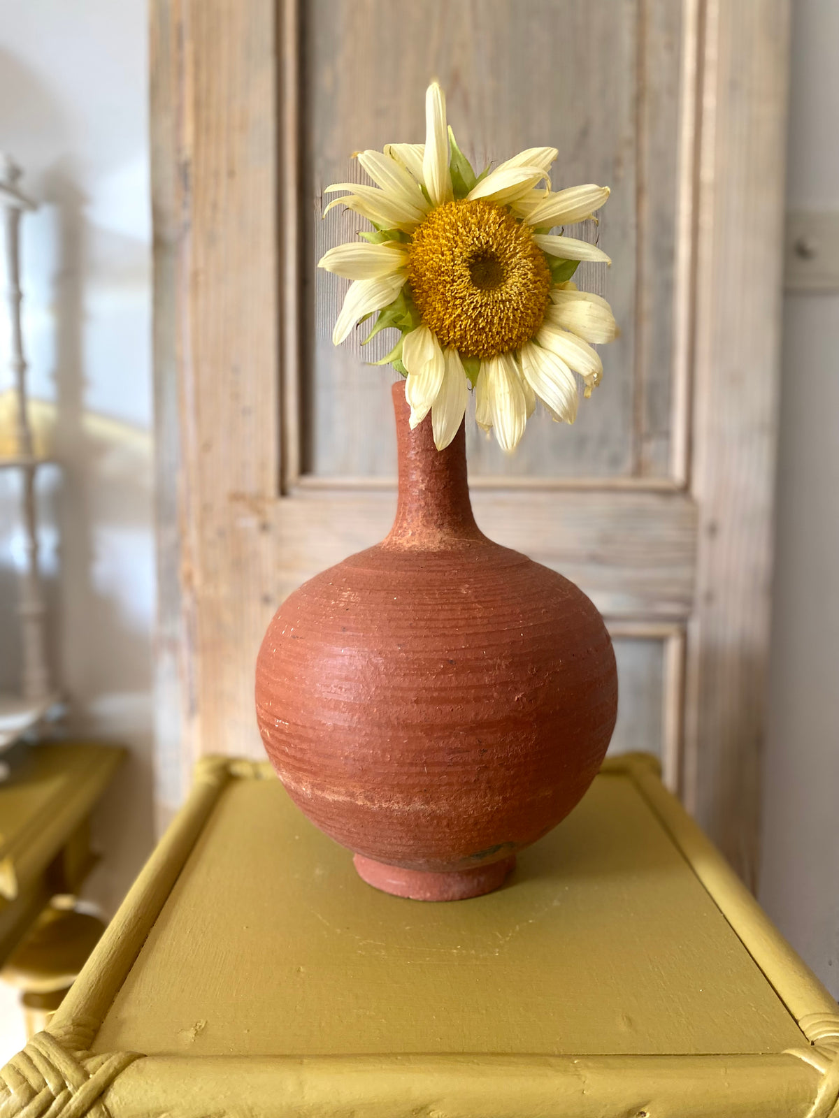Vase bouteille en terre cuite, col long, poterie tournée