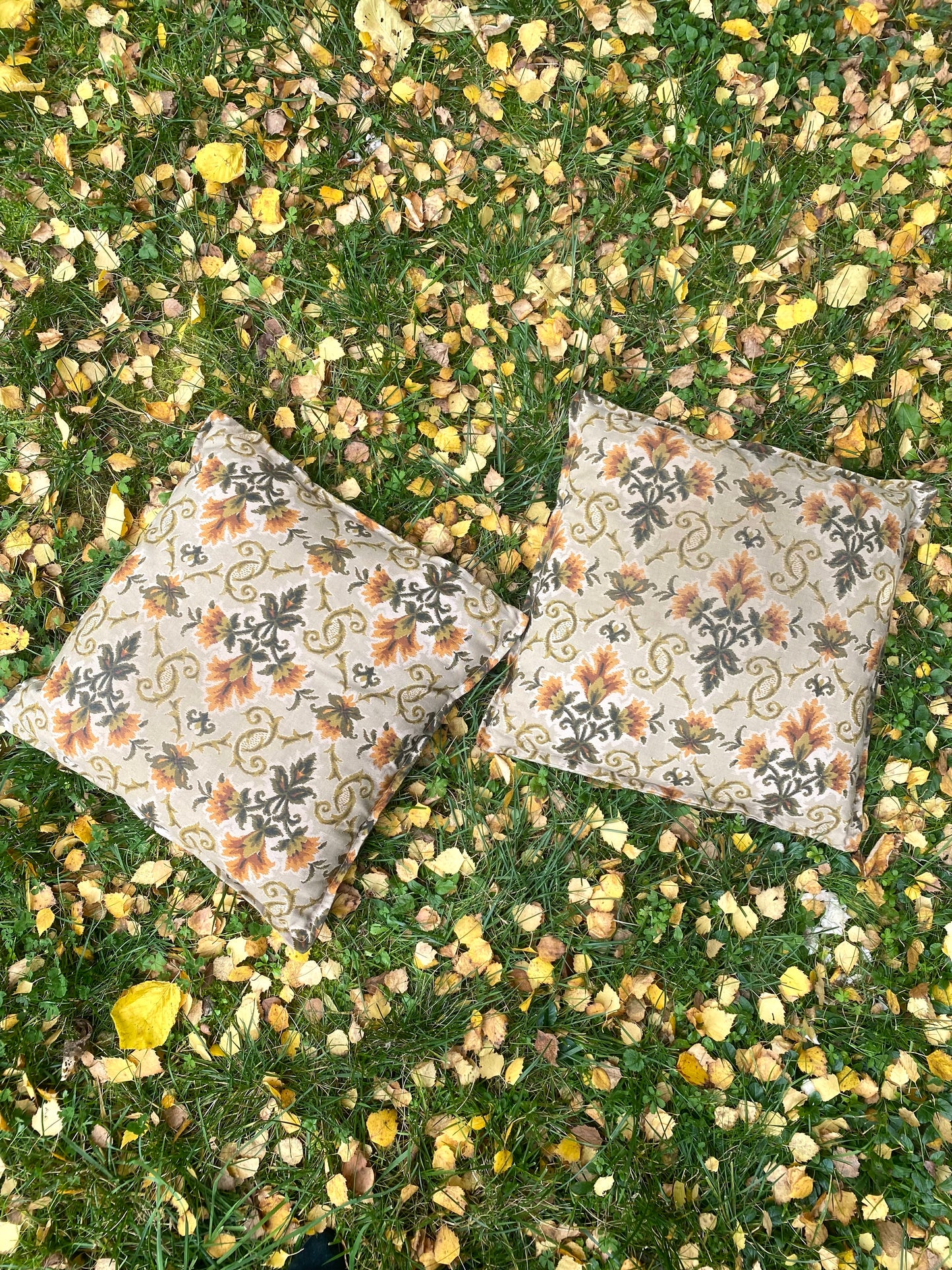 Ravissant duo de coussins en jacquard 70