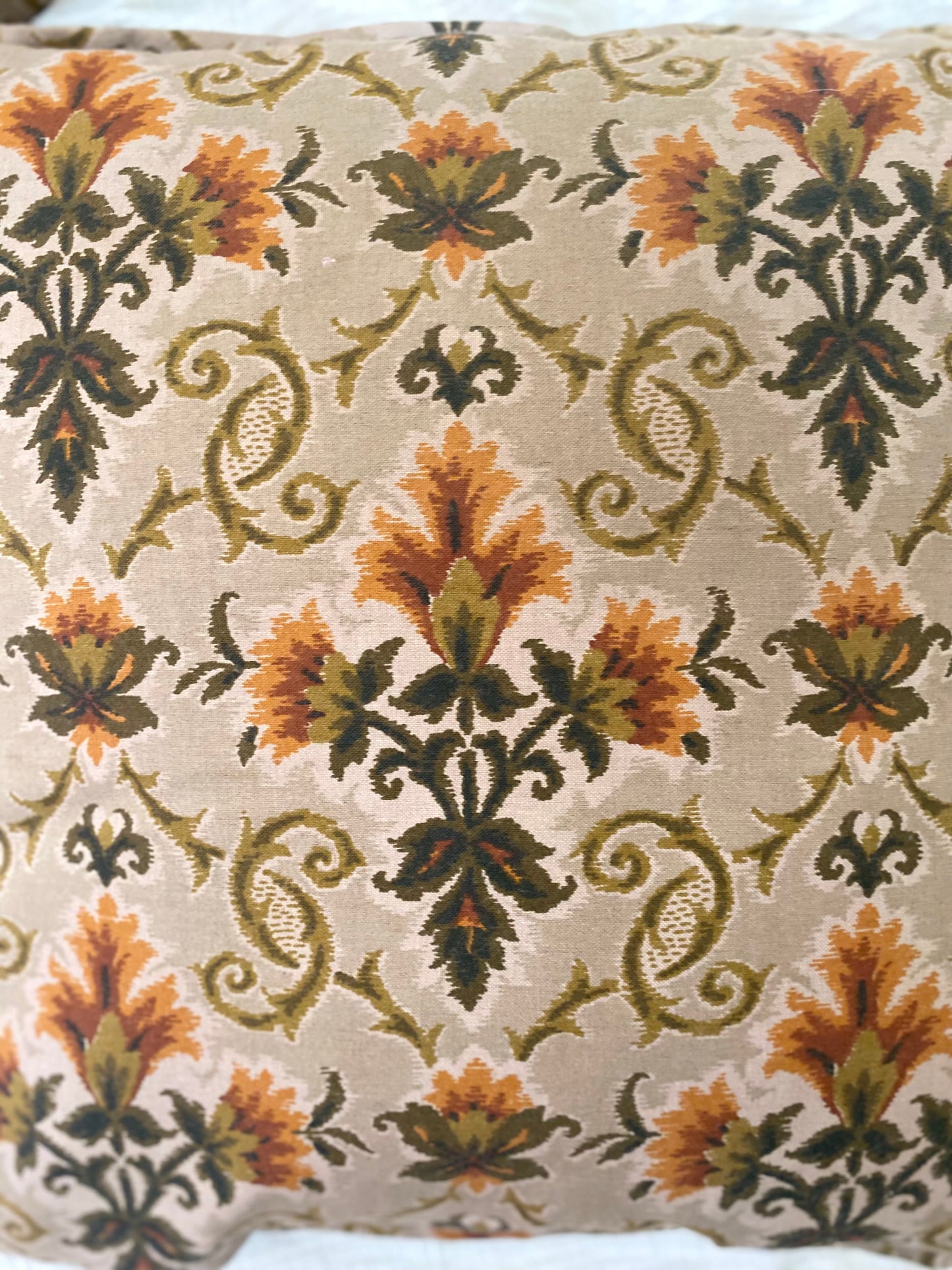 Ravissant duo de coussins en jacquard 70