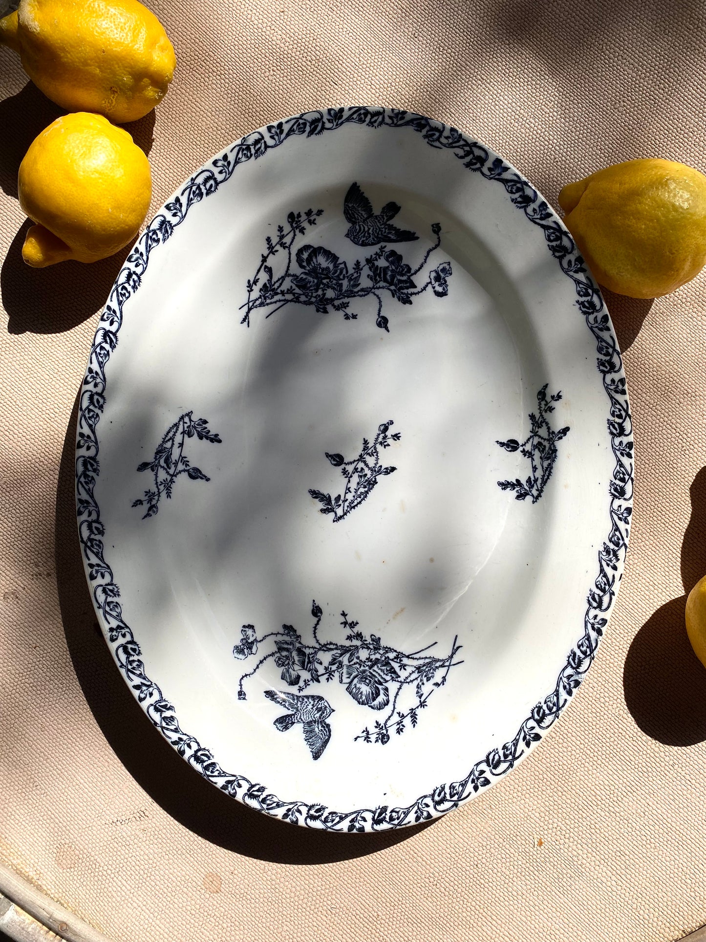 Plat ovale ancien Terre de fer — décor aux oiseaux, bleu et blanc