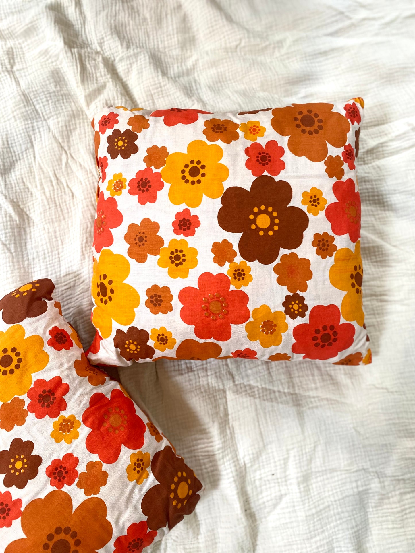 Duo de coussins décoratifs 70