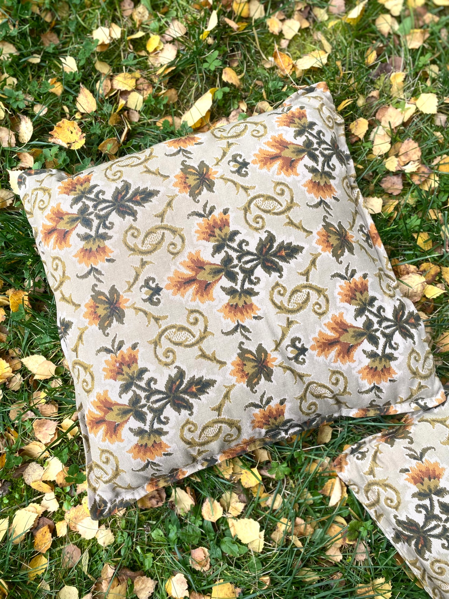 Ravissant duo de coussins en jacquard 70