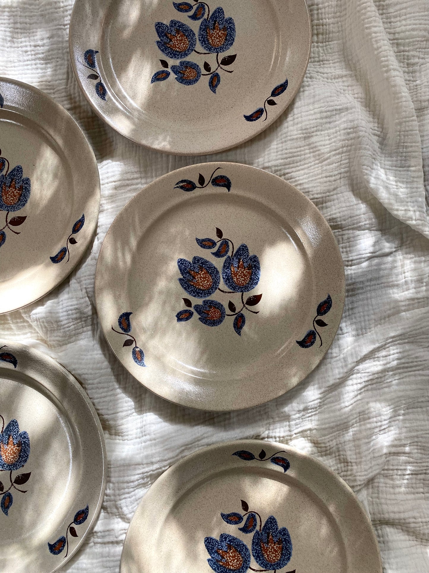 Assiettes plates en faïence ancienne