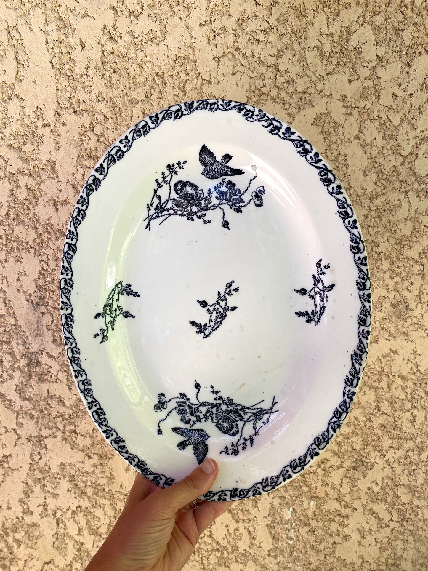 Plat ovale ancien Terre de fer — décor aux oiseaux, bleu et blanc