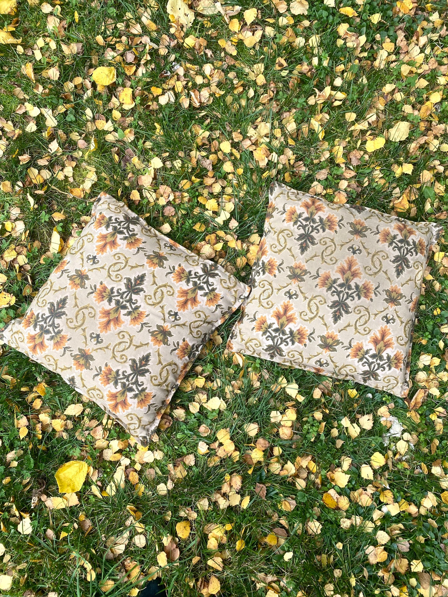 Ravissant duo de coussins en jacquard 70