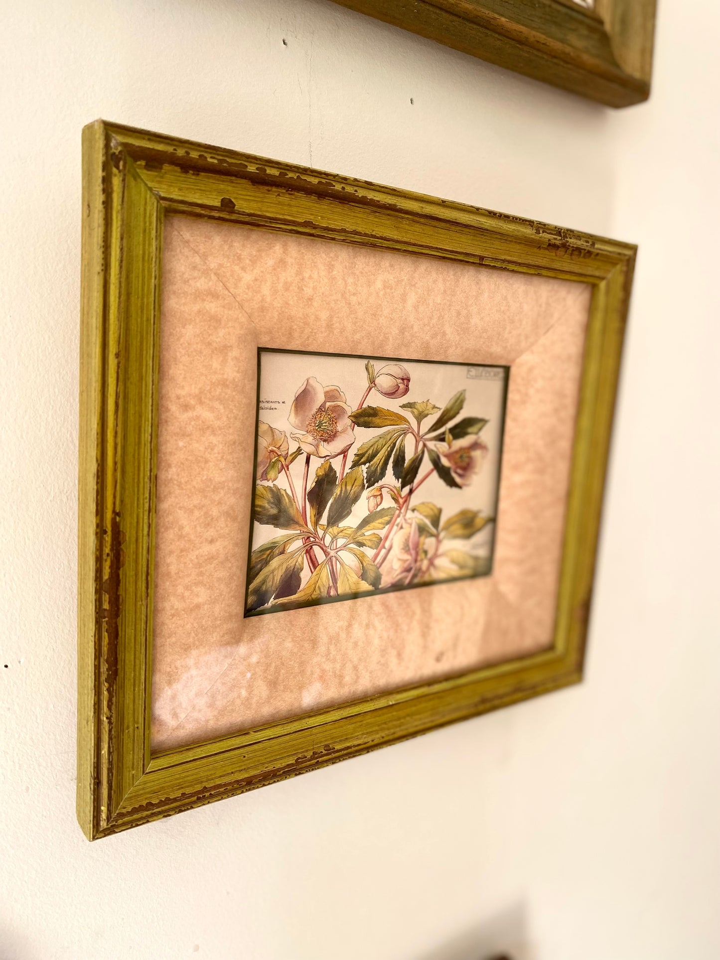 Trio de tableaux anciens