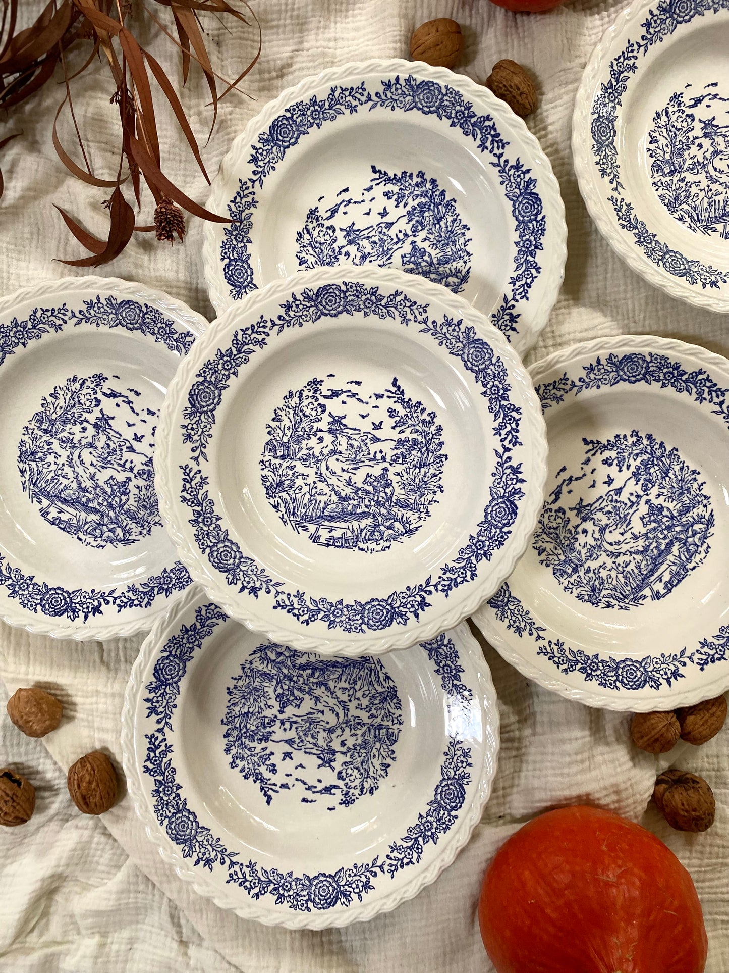 Assiettes creuses en faïence anglaise