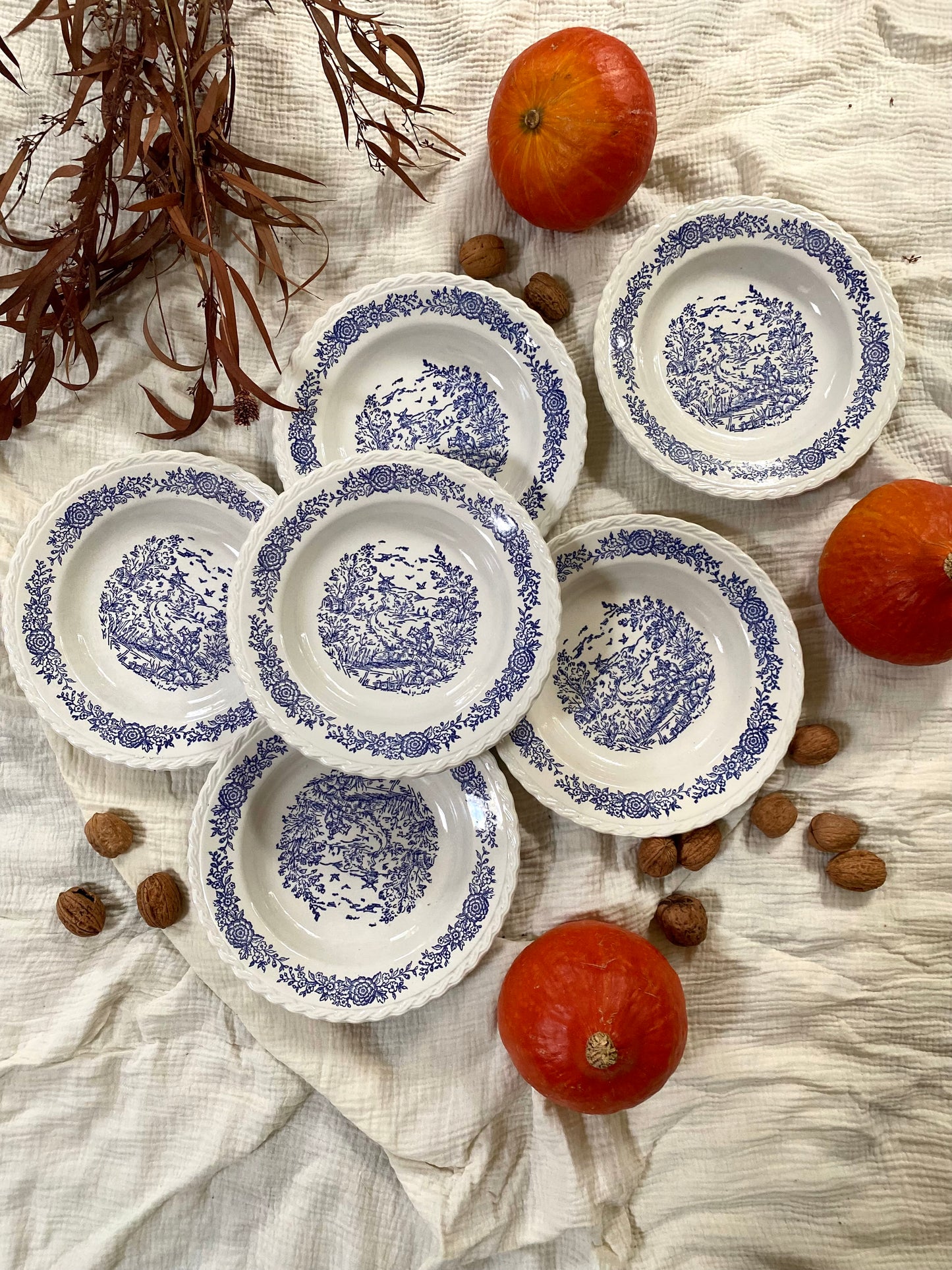 Assiettes creuses en faïence anglaise