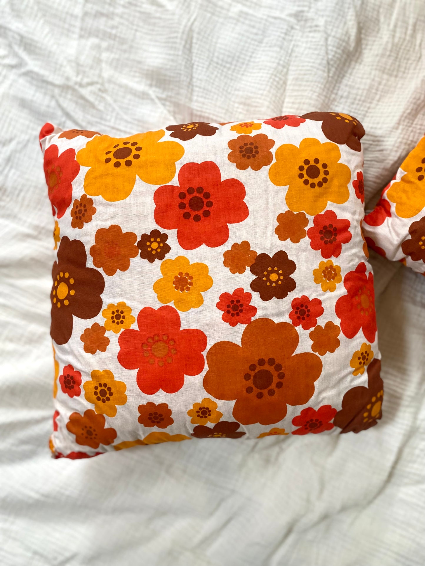 Duo de coussins décoratifs 70