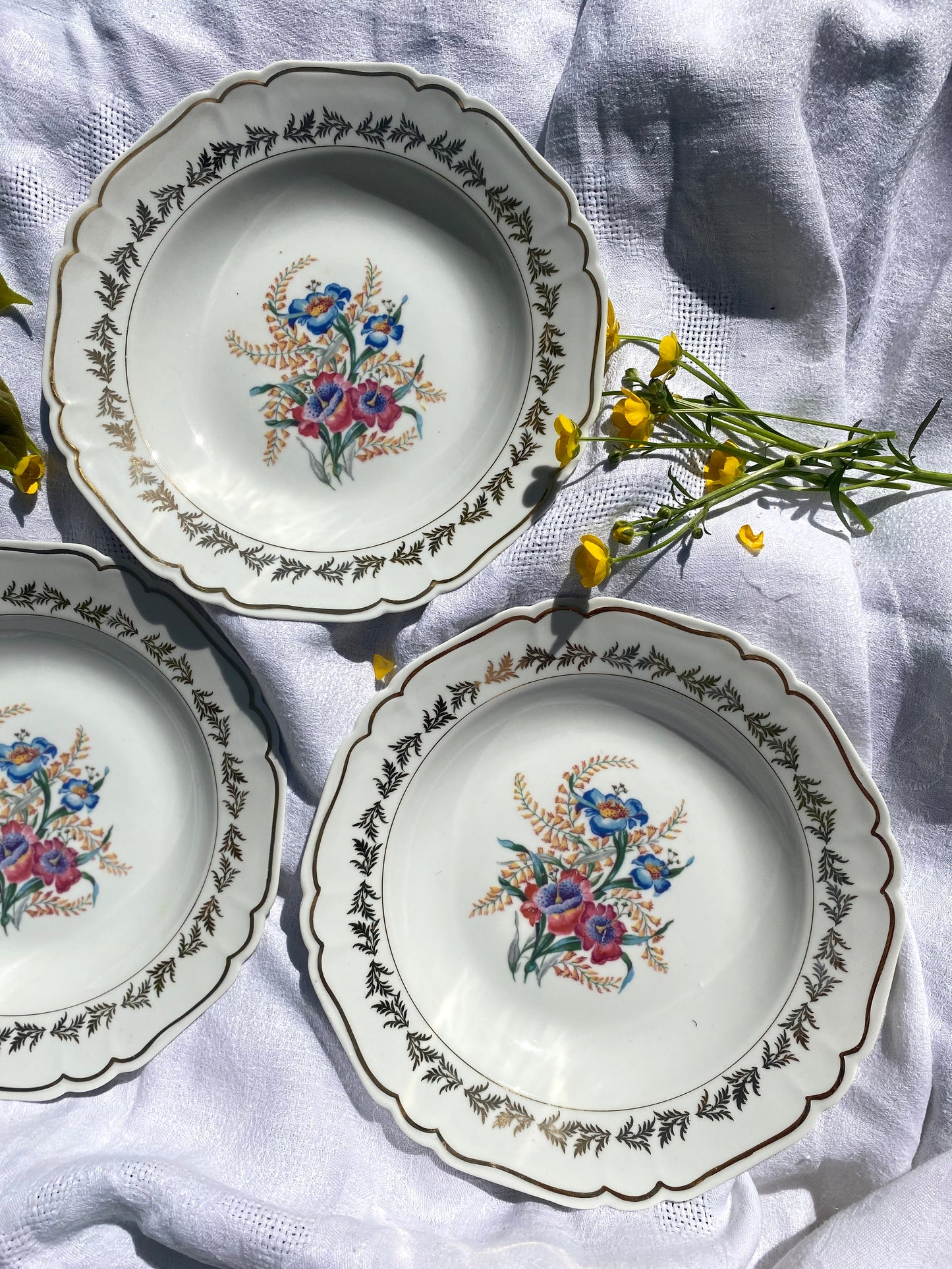 Assiettes Creuses en Porcelaine française milieu du XXème siècle