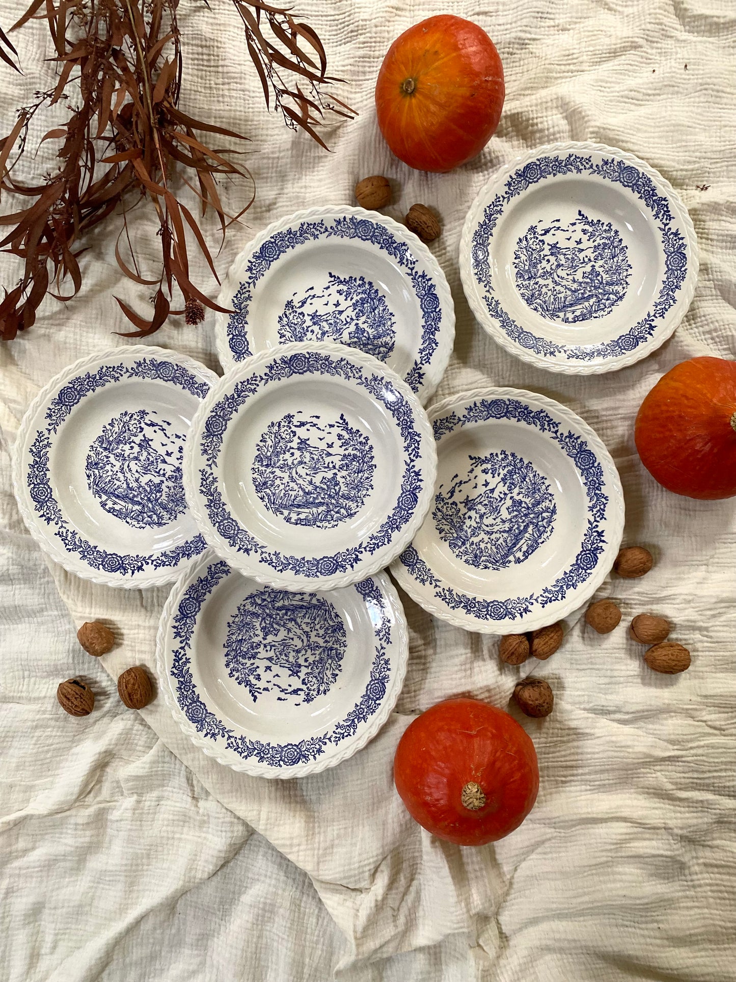 Assiettes creuses en faïence anglaise