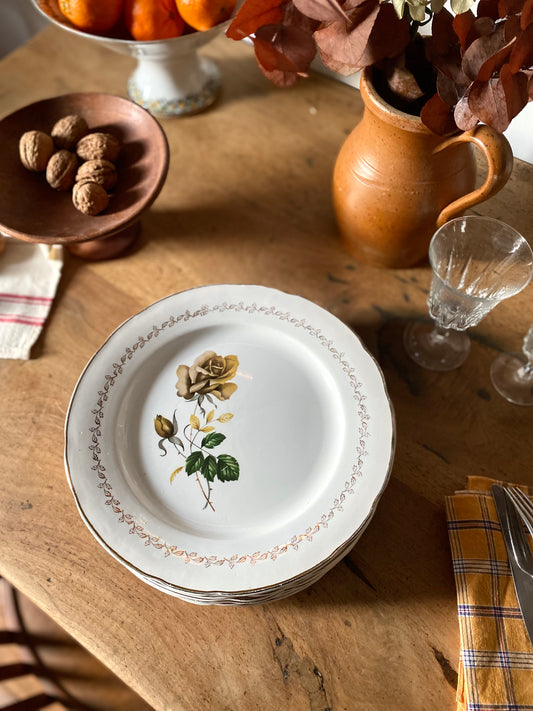 Assiettes plates en faïence ancienne