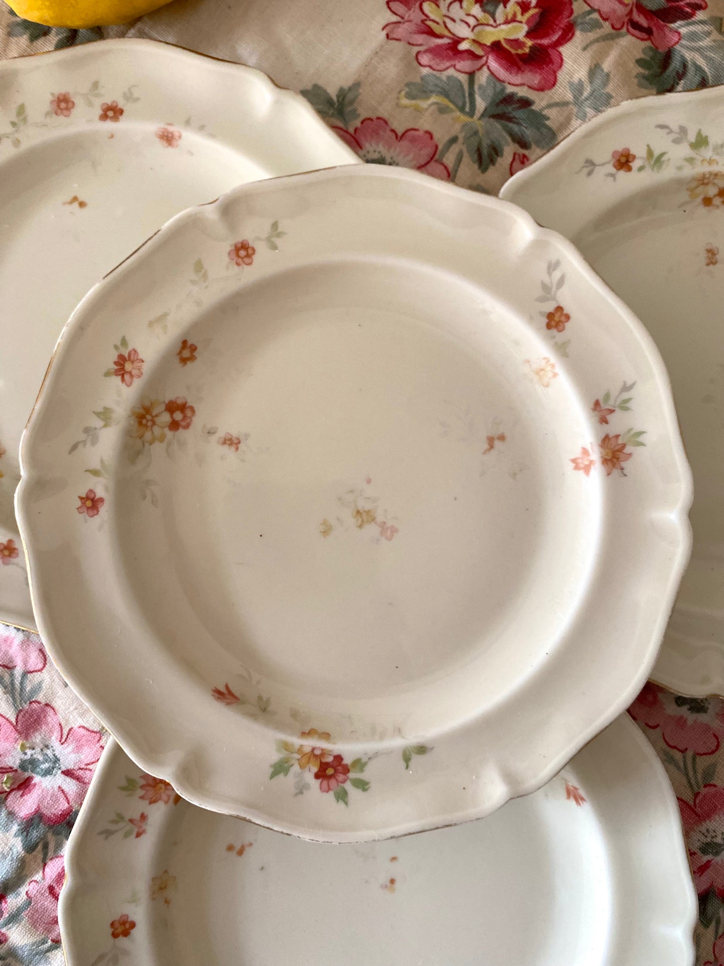 Assiettes à dessert en porcelaine de Limoges - 1930