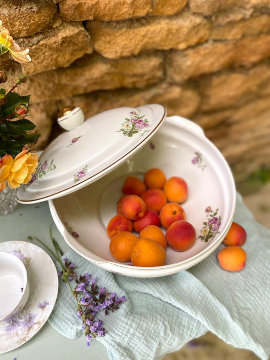 Soupière ou coupe à fruit en porcelaine ancienne